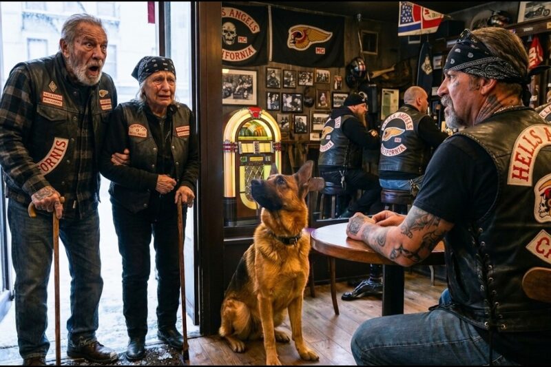 “Can We Rest Here?” An Elderly Couple Meets the Hells Angels President — What Followed Brought Hope
