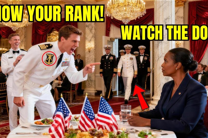 Cocky Navy SEAL Asked a Quiet Woman Her Rank as a Joke — Then Four Generals Snapped to Attention