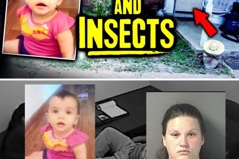 Infant Found With Insects Eating Her Skin In Poop Filled House of Horrors