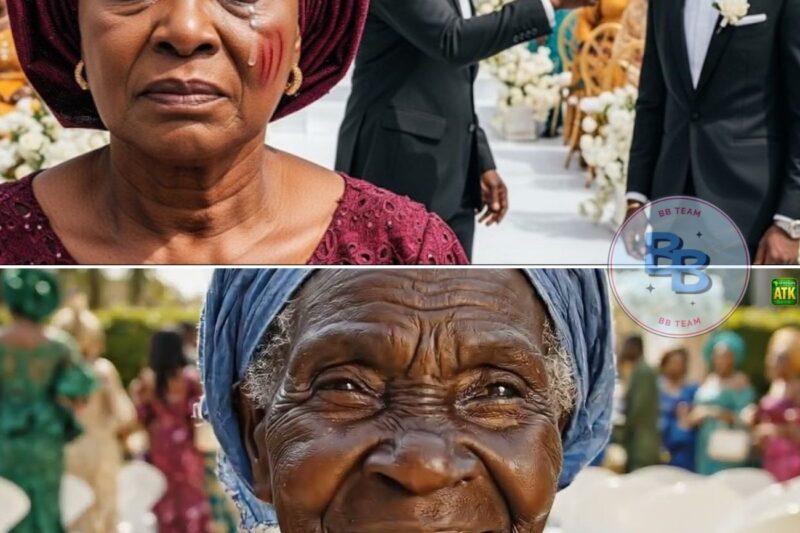 A Mother Was Left Outside the Wedding — Until the Ceremony Suddenly Paused