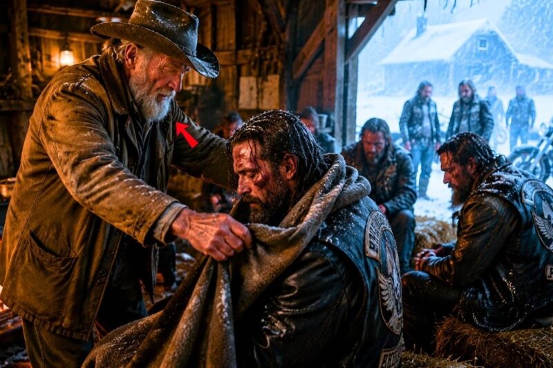Old Farmer Sheltered Frozen Hells Angels — 480 Riders Returned With a Life-Changing Gift