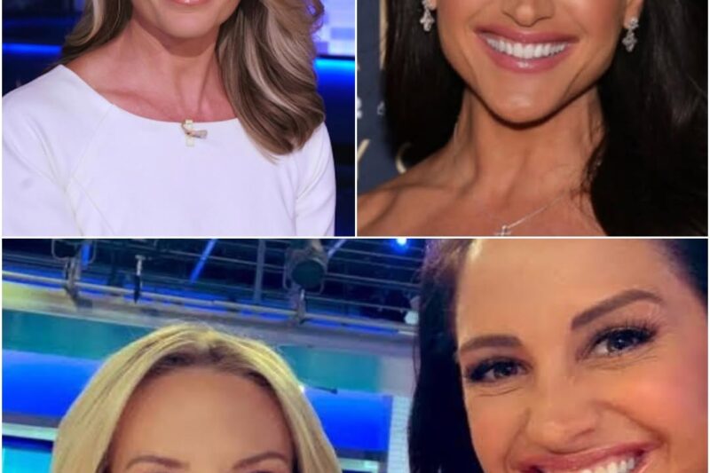 Emily Compagno’s former spouse has alleged infidelity on her part prior to their separation, stating that the third party involved was also a host at Fox.