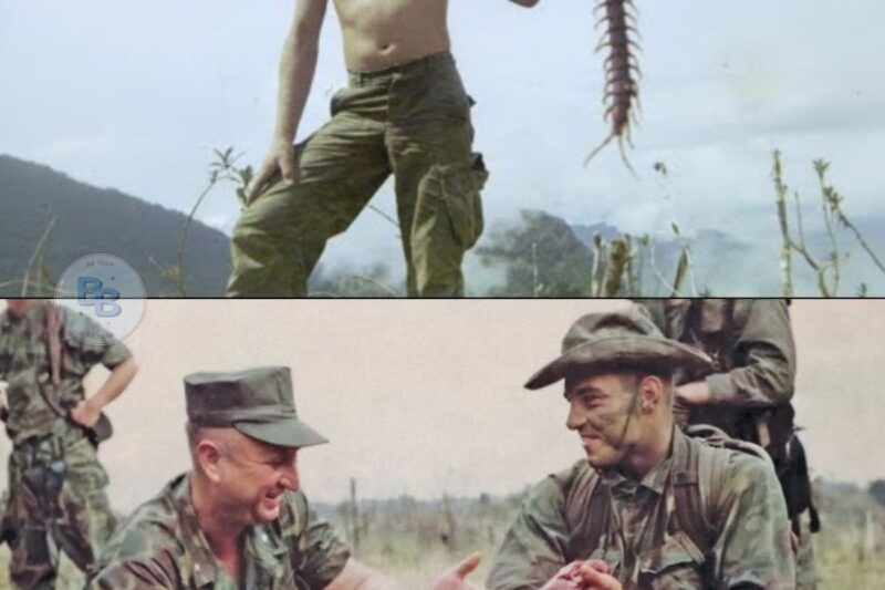 Vietnam’s most DANGEROUS Wild Life for US Soldiers! 