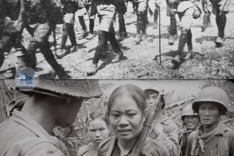 They Captured SASR Aboriginal Tracker—2 Hours Later, Entire VC Platoon Was Found “Decorating” Trees 