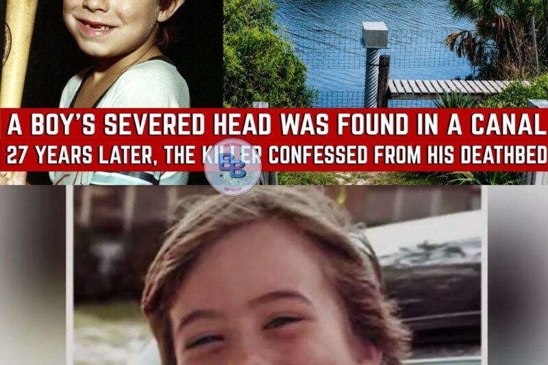 Florida 1981 Cold Case Solved — Arrest Shocks Community 