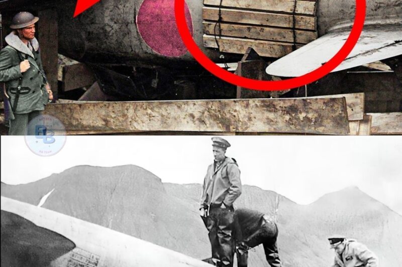 The Single Most Important Military Aircraft Ever Shot Down?