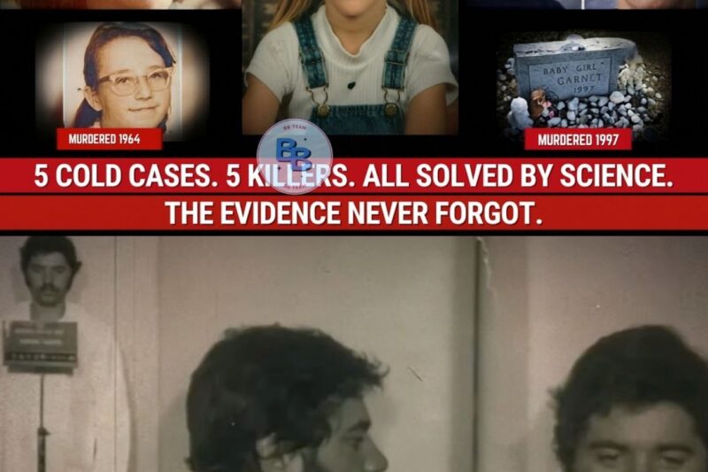 Cold Cases Solved After 40+ Years… DNA Finally Exposed The Killers 