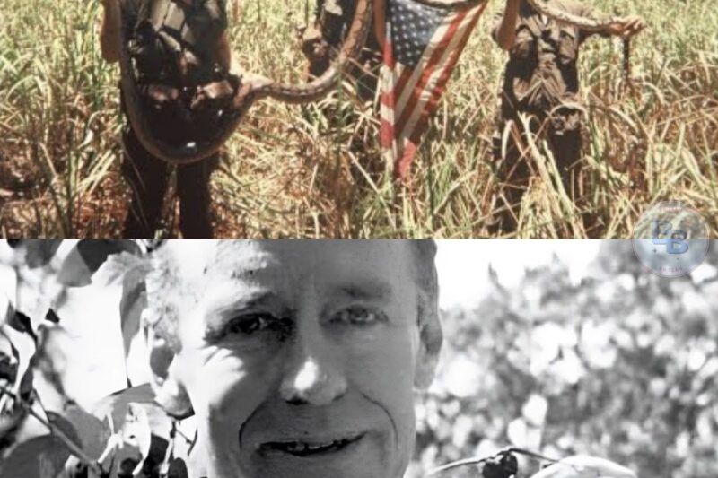 Vietnam’s worst NIGHTMARES for US Soldiers! 