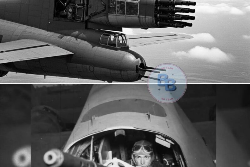 Germans Couldn’t Stop This B-17’s “Secret” Weapon — Until He Destroyed All 17 Planes