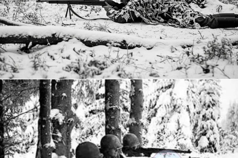 They Called It Impossible — Until This Sniper Killed 87 Germans in 72 Hours Alone