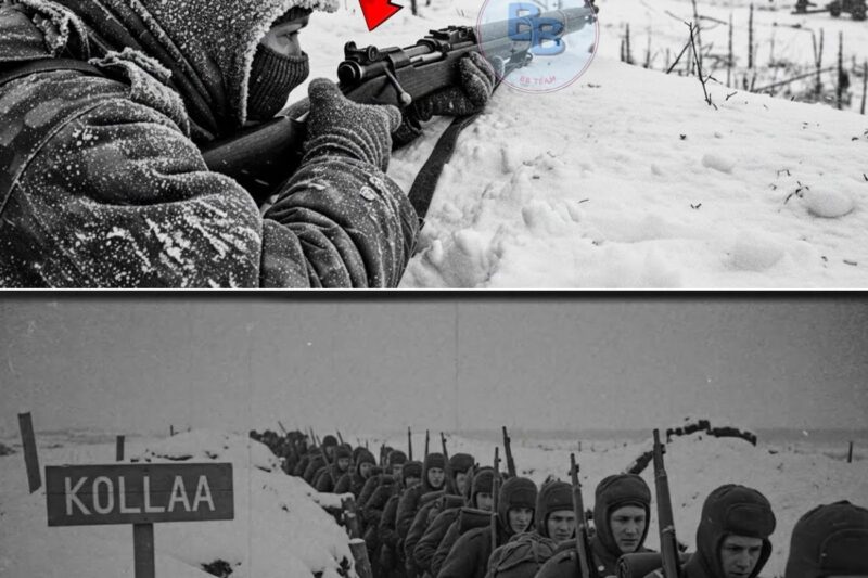 This Finnish Farmer Killed 543 Soldiers — And None of Them Ever Saw Who Was Shooting