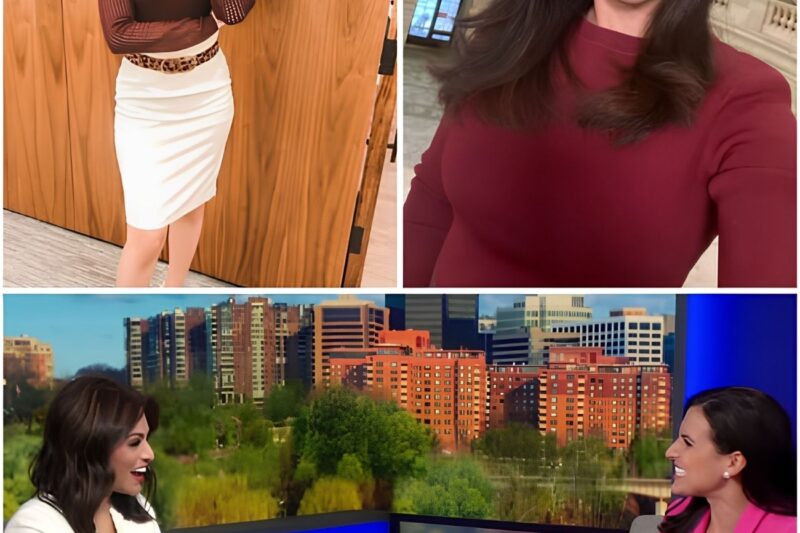 BREAKING NEWS: Emmy-Nominated Aishah Hasnie – Fox News’ Most Private Reporter and the Jaw-Dropping Journey That Stunned Audiences!