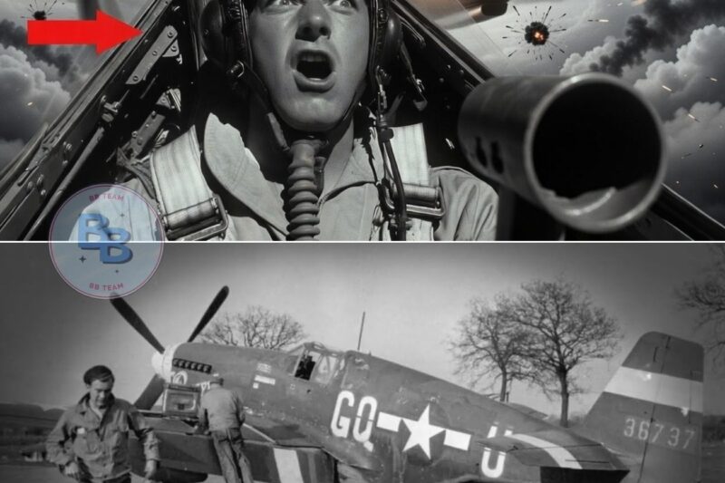 The Engine Swap That Turned the P-51 Mustang Into the Best Fighter of WW2