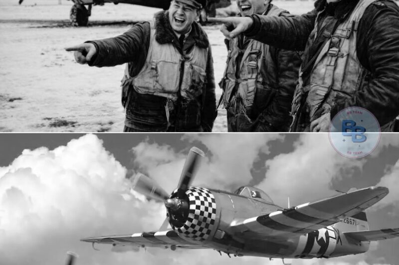 German Pilots Couldn’t Believe the B-17’s 12 Guns — Until the “Flying Fortress” Collapsed