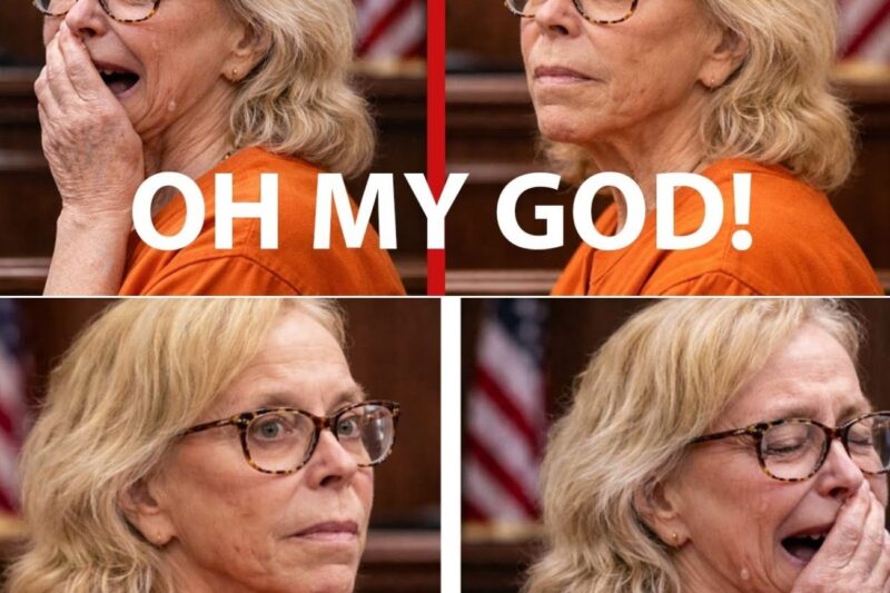 Grandmother Walks Confident into Court, Thinks She Can Fake Shock — Then His Own Voice Plays