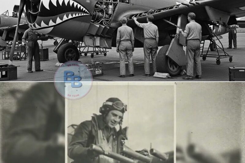 German Pilots Laughed at This “Useless” P-47 — Until It Destroyed 39 Fighters in One Month