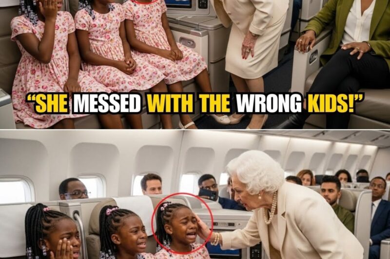Racist White Woman Slaps Black Triplets In First Class –  Later, Their CEO Dad Arrives
