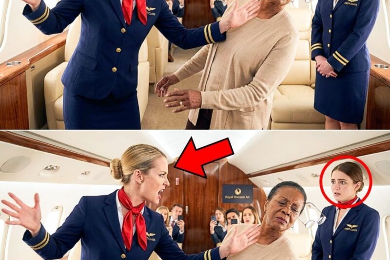 Flight Attendant Slapped A Black Woman In First Class — LATER, Not Knowing That Woman Owns The Airline