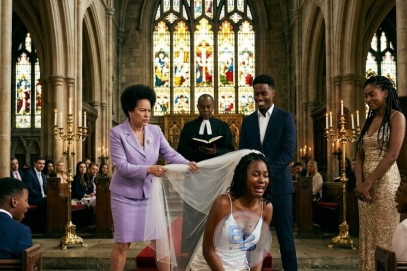  She Was A Trillionaire’s Only Child, His Mother Ripped. Then, The Wedding Veil Off Her Head At The