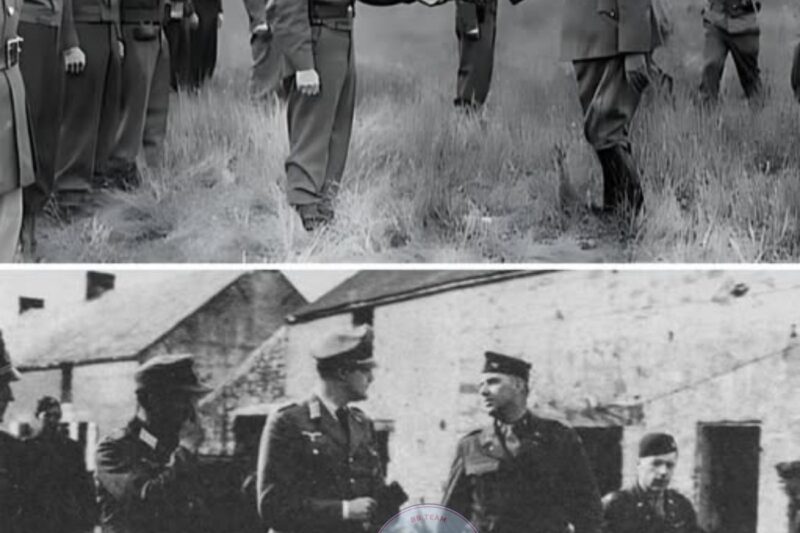 The Desperate Race of German Soldiers Trying to Reach US Lines in 1945