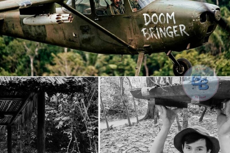 Why Soldiers Were Ordered NEVER to Attack the O-1 Bird Dog