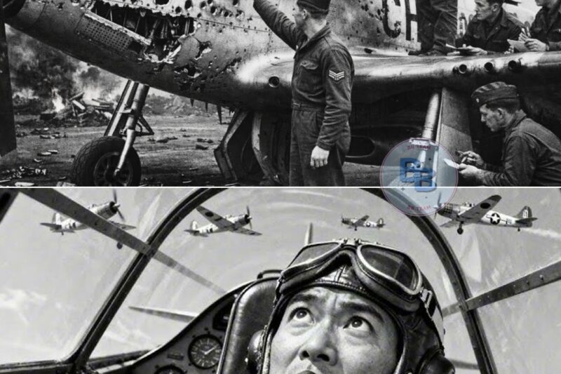 They Mocked This “Suicidal” Fighter — Until One Pilot Stopped 35 German Attackers Alone