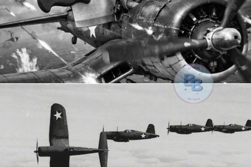 When 22 Japanese Planes Attacked One F4U Corsair — His Response Shocked the Pacificc