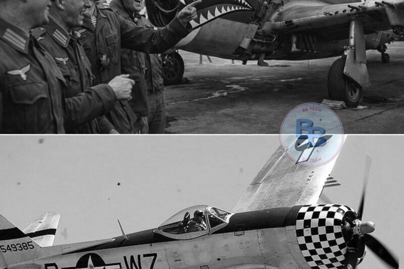 German Pilots Laughed at This “Useless” P-47 — Until It Destroyed 40 Fighters in One Month