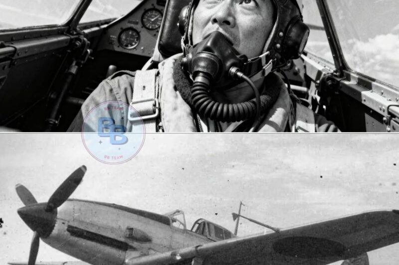 Japanese  Forces Were Terrified by America’s P-50 Mustang Dominance Over JP