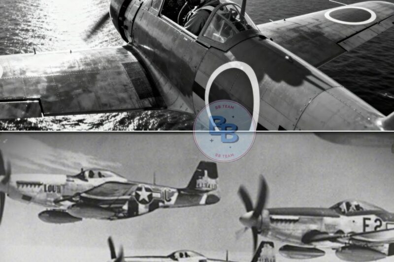German Pilots Laughed at the P-51 Mustangs, Until It Shot Down 5,000 German Planes