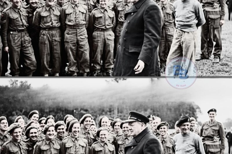 What Churchill Said When Patton Conquered Terrain Every British General Called Impossible WW2 Decoded
