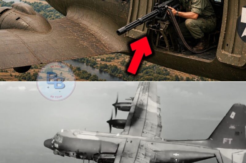 Why Soldiers Were Ordered NEVER to Target Puff the Magic Dragon