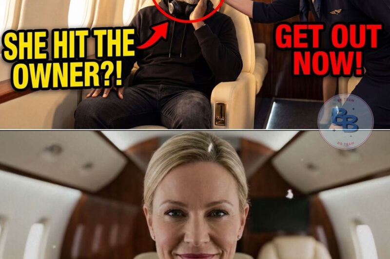 Attendant Slapped Black Billionaire on His Jet — 13 Minutes Later He Destroyed Her Career