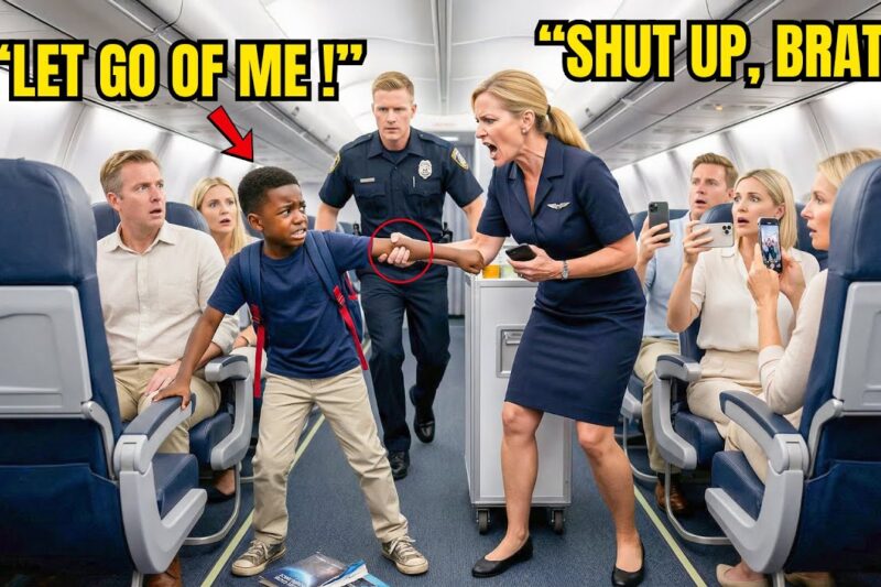 Flight Attendant Dragged Black Child Down Aisle — Seconds Later, His Mom Fired Everyone