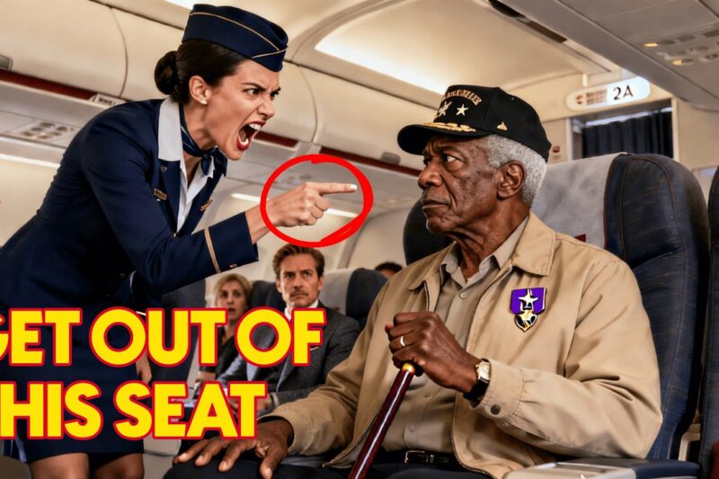 Flight Attendant Forced a Black Veteran Off the Plane — Captain Fires Her on the Spot