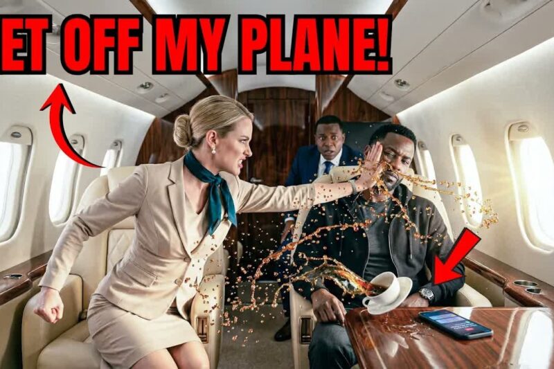Attendant Slapped Black CEO on His Private Jet — 9 Minutes Later She Lost Everything