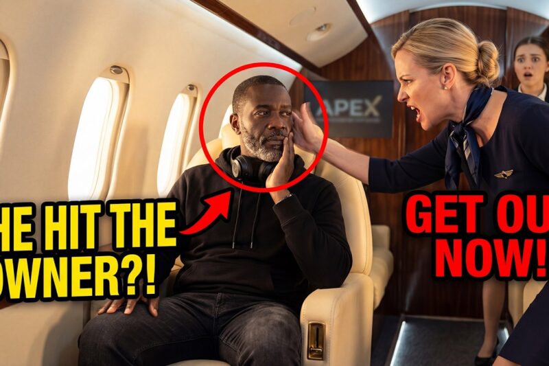 Attendant Slapped Black Billionaire on His Jet — 10 Minutes Later He Destroyed Her Career