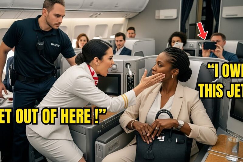 Flight Attendant Slapped a Black CEO on Her Own Jet – 10 Minutes Later, She Fires His Entire Team