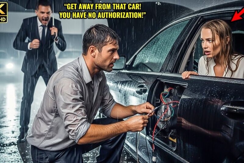 Single Dad Was Fired for Fixing a Luxury Car in the Rain — The Woman Inside Was the Company’s Owner