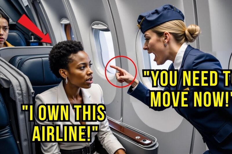 Flight Attendant Insults Black Woman, Not Knowing She’s the Billionaire That Owns the Airline!
