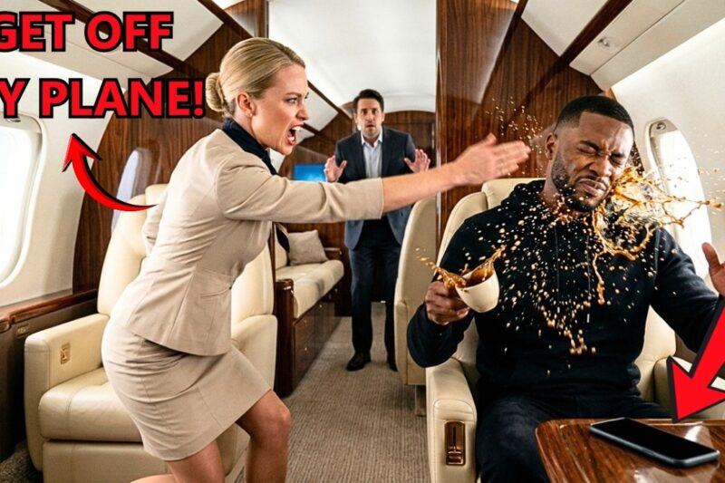 Attendant Slapped Black CEO on His Private Jet — 8 Minutes Later She Lost Everything Instantly