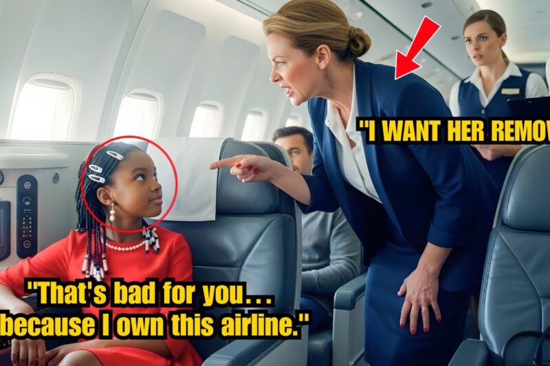 7-Year-Old Shocks First Class After Racist Passenger Targets Her
