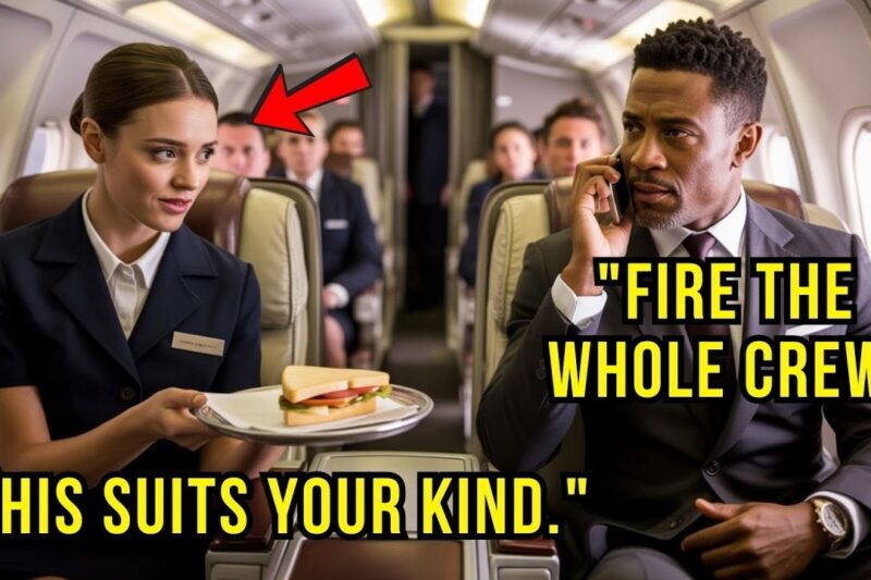 Black CEO Denied First Class Meal—Then He Makes One Call And Fires Entire Flight Crew After Landi