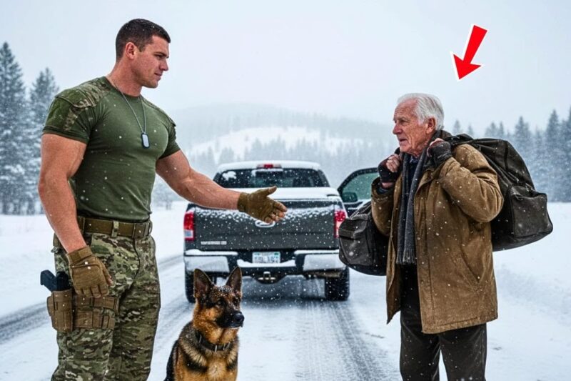 He Pulled Over During a Deadly Blizzard — What the Navy SEAL Found Changed a Family’s Fate Forever
