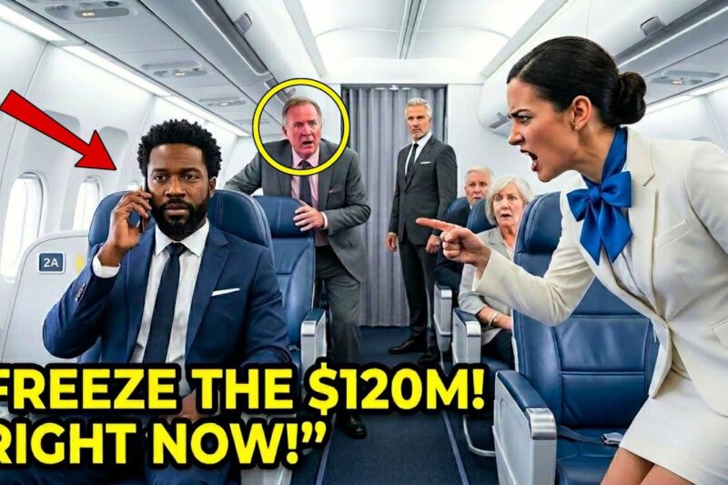 A Black CEO Was Removed From First Class — Then He Froze the Airline’s $120M Budget in a Shocking Twist