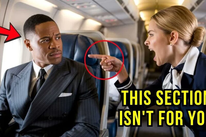 A Black CEO Was Removed From First Class for a White Passenger — Minutes Later, the Entire Flight Crew Was Fired