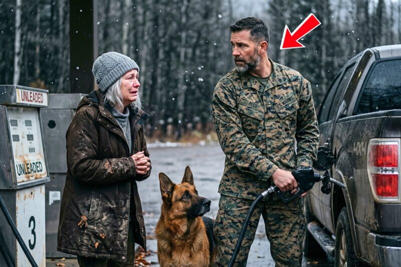 An Elderly Woman Asked a Marine for Directions to the Police Station — The Truth Made Him Stay