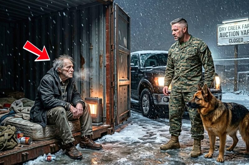 Marine Finds His Fallen Friend’s Father Freezing in a Container — The Truth Shakes Him