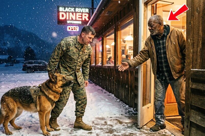 Old Black Diner Owners Help a Stranded Marine and His K9 — What Arrives at Dawn Stuns Them