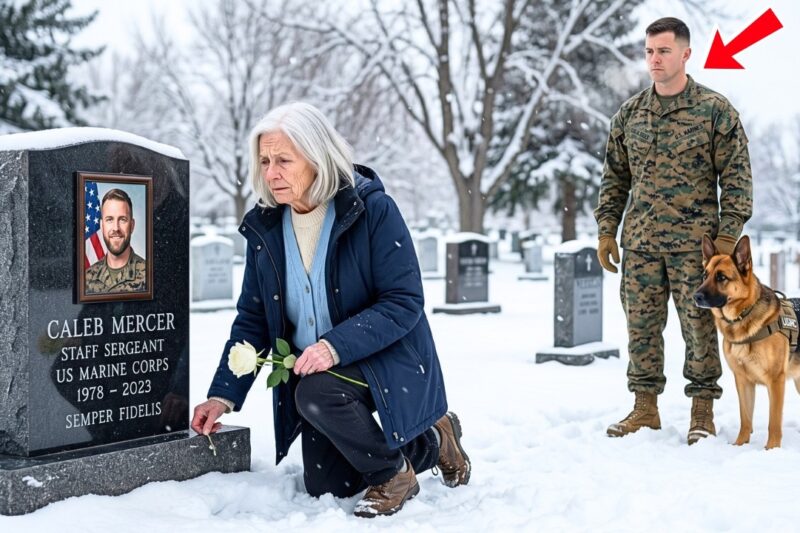 “I Saw Your Son Last Year,” the Marine Said — The Elderly Mother Dropped the White Rose